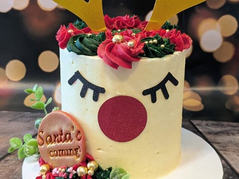 REINDEER CAKE REDHILL